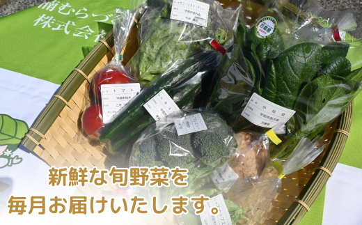 【12ヶ月定期便】新鮮野菜の産直 7〜10品目 ＜楠こもれびの郷「楠四季菜市」＞[BTBQ005]