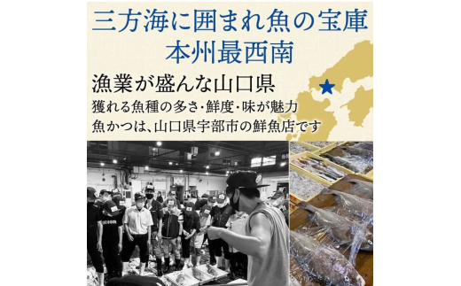 【6ヶ月 定期便】漬け丼 3種×2パック 計6食セット