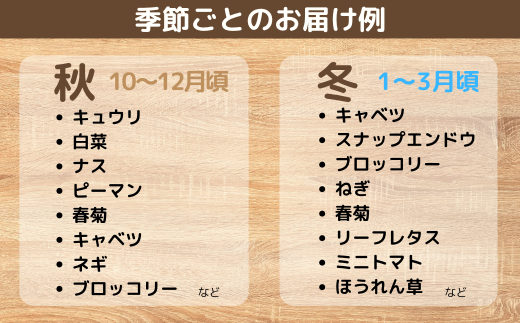 【12ヶ月定期便】新鮮野菜の産直 7〜10品目 ＜楠こもれびの郷「楠四季菜市」＞[BTBQ005]