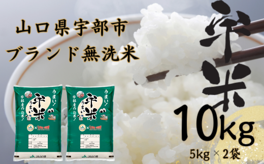 【令和6年度新米】宇部市産 恋の予感 ブランド米 無洗米 宇米 10kg （5kg 2袋） 宇部市 米