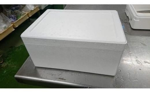 【北海道・東北・沖縄・離島配送不可／着日指定必須】宇部産　ワタリガニ　約1.2kg　3〜6杯入り