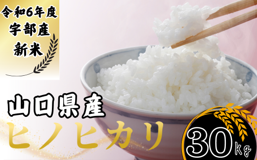 【先行予約／令和6年度新米】 ヒノヒカリ 30Kg ［精米］［山口県宇部産］ 【令和6年度 新米 ヒノヒカリ 30Kg 精米 山口県産 宇部産 地元米 農家直送 宇部市産 美味しい お米 寒暖差 霜降山麓 綺麗な水 高品質米 新鮮米 収穫直後 国産米 ご飯 炊き立て 美味しさ長持ち】