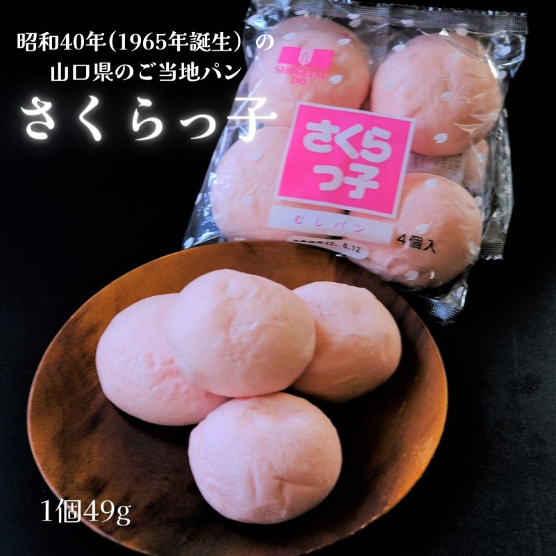 山口県ご当地パン 9個セット 3種×各3個 パン 詰め合わせ 訳あり ご当地パン 菓子パン