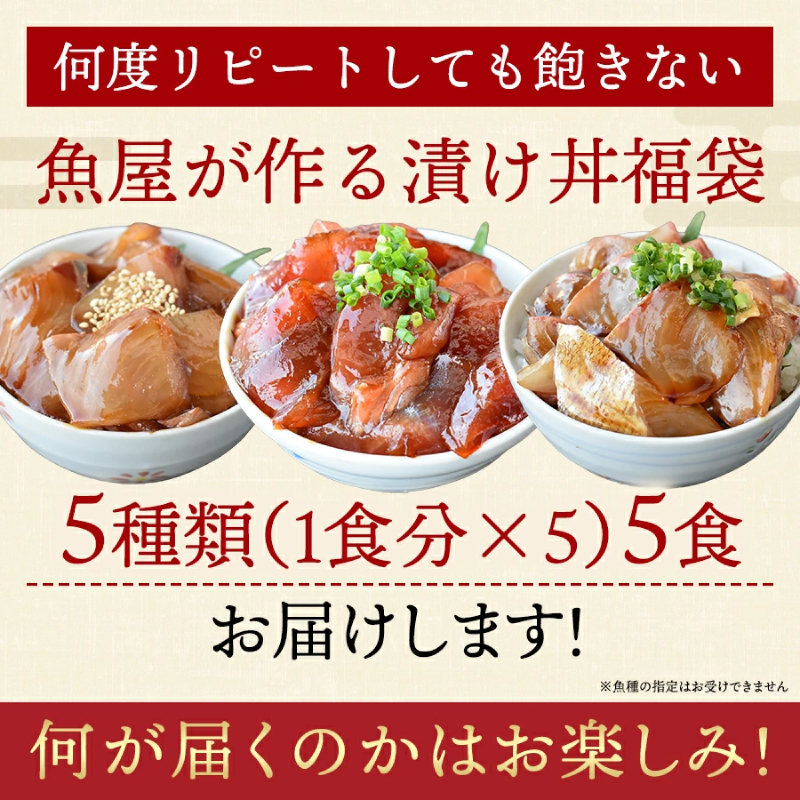 漬け丼 5種×1パック 計5食セット 冷凍 小分け
