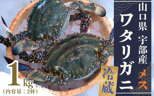 ワタリガニ 冷蔵 ワタリガニ メス 2杯 (約1kg)