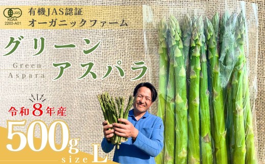 【先行予約】オーガニック グリーンアスパラガス  L 500g