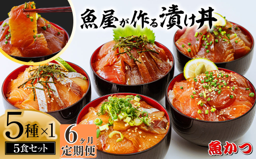 【6ヶ月 定期便】漬け丼 5種×1パック 計5食セット