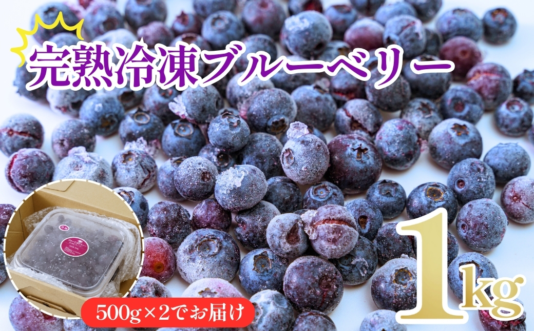 完熟 冷凍 ブルーベリー1kg（500g×2）