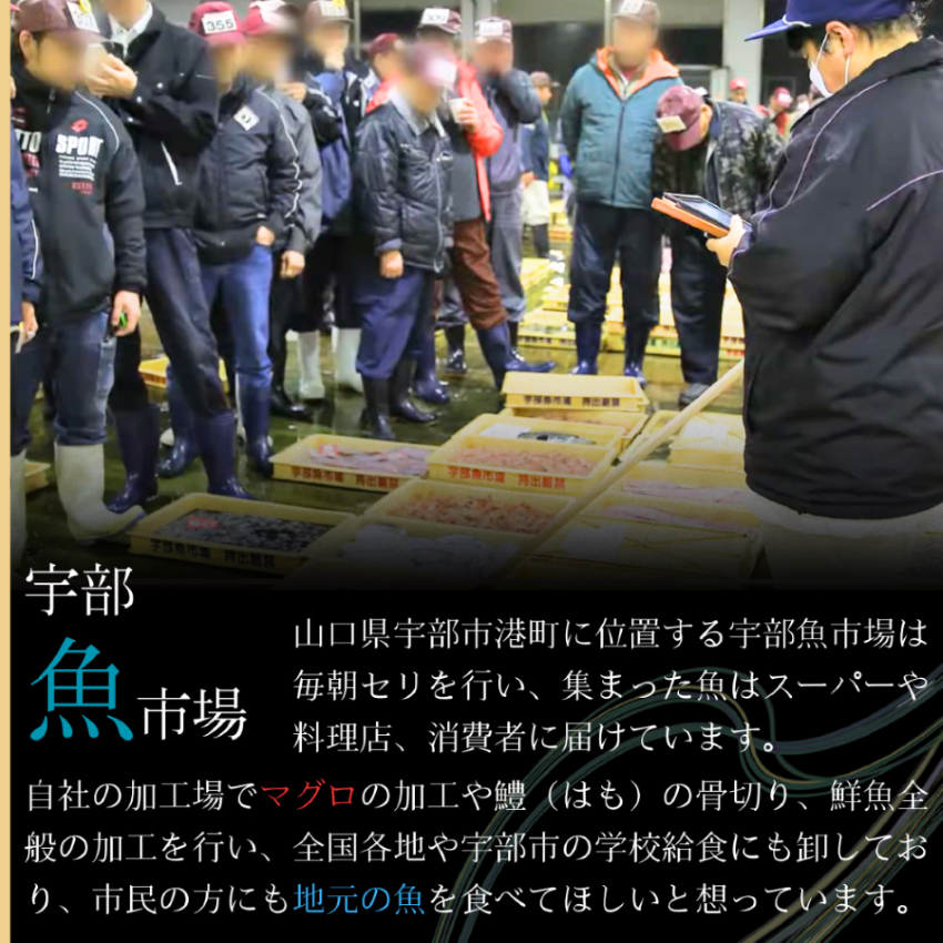 【北海道・東北・沖縄・離島配送不可／着日指定必須】宇部産　ワタリガニ　約1.2kg　3〜6杯入り