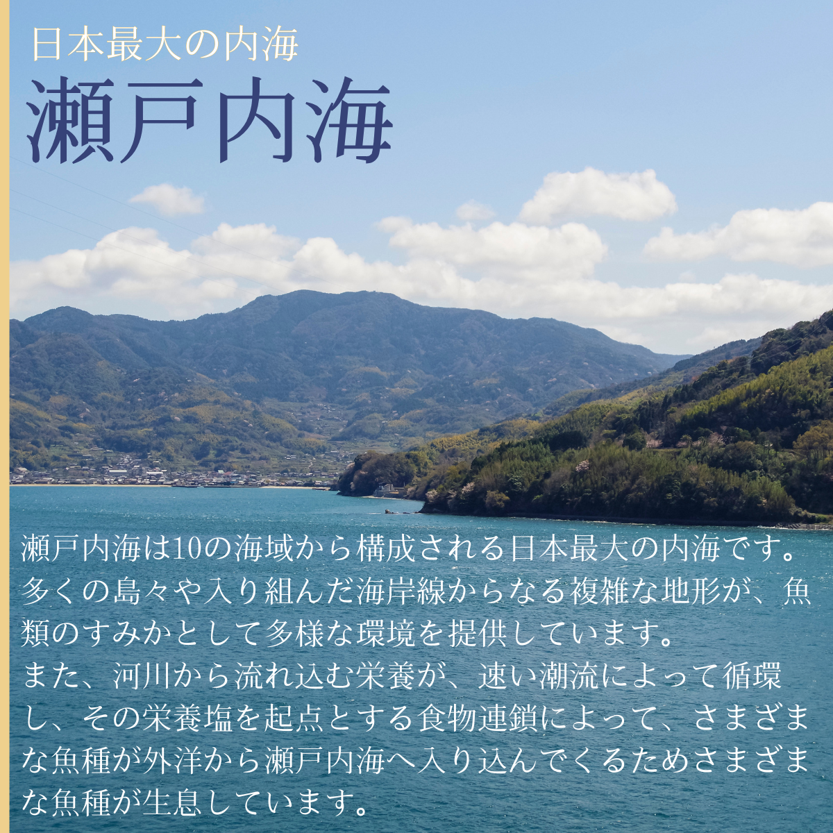 【北海道・東北・沖縄・離島配送不可／着日指定必須】宇部産　ワタリガニ　約1.2kg　3〜6杯入り