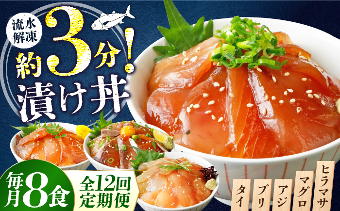 【12ヶ月 定期便】漬け丼 4種×2パック 計8食セット[BTAP019]