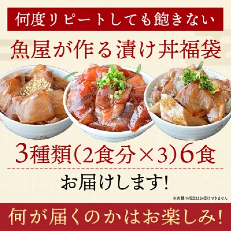 漬け丼 3種×2パック 計6食セット 冷凍 小分け
