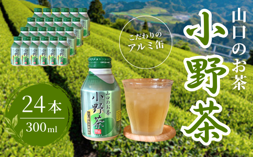 【山口のお茶】小野茶 小(300ml) 24本入り