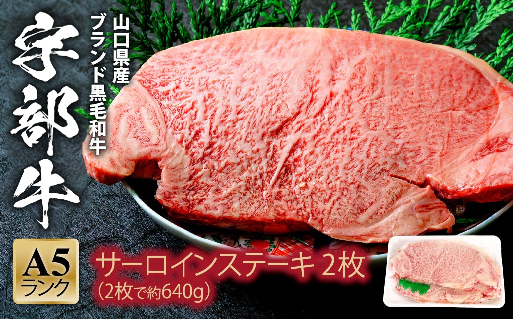 北海道・沖縄県・離島配送不可★[宇部牛] サーロインステーキ 2枚 640g