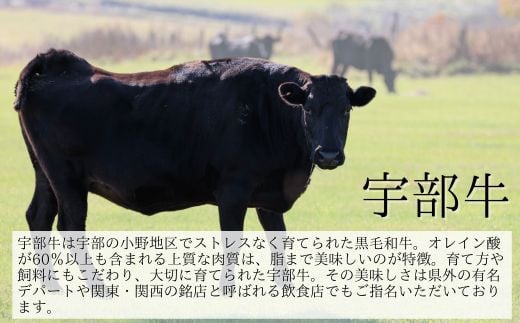 ★北海道・沖縄県・離島配送不可★【宇部牛】 カルビ焼肉用 800g