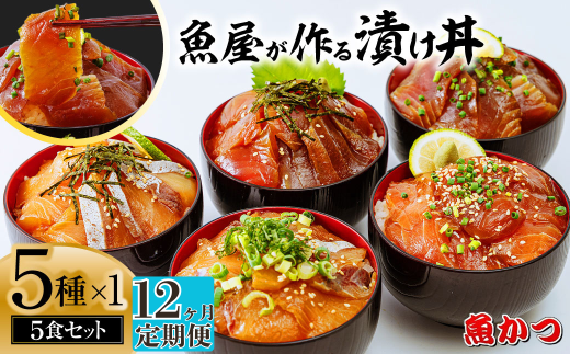 【12ヶ月 定期便】漬け丼 5種×1パック 計5食セット