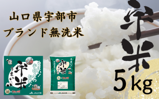 【令和6年度新米】宇部市産 恋の予感 ブランド米 無洗米 宇米 5kg 1袋 宇部市 米