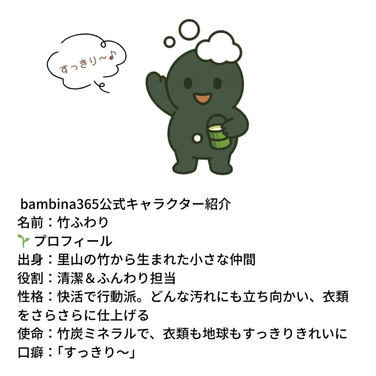 bambina 竹ふわり 竹炭ミネラル 洗濯洗剤 1000ml×２本 ポンプ付き