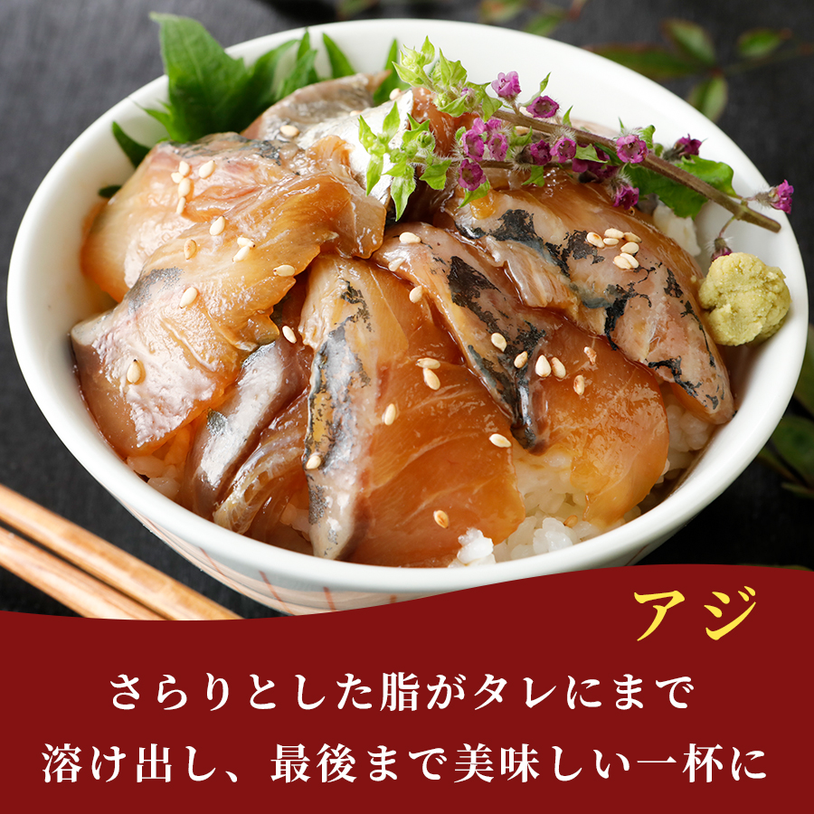 漬け丼 5種×2パック 計10食セット | 漬け丼 海鮮 惣菜 冷凍 真空パック 小分け 海鮮丼 海鮮セット 詰め合わせ 旬の鮮魚 ハマチ カンパチ カツオ 鯖 サバ ヒラマサ 平政 マグロ アジ ヒラメ 鯛 漬け づけ丼 お茶漬け ごはん 山口県 宇部市 