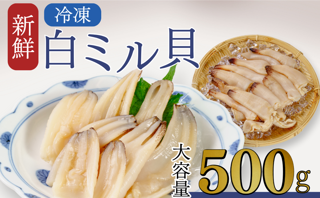 宇部産　白ミル貝　約500g　