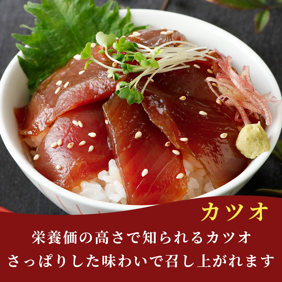 漬け丼 5種×2パック 計10食セット | 漬け丼 海鮮 惣菜 冷凍 真空パック 小分け 海鮮丼 海鮮セット 詰め合わせ 旬の鮮魚 ハマチ カンパチ カツオ 鯖 サバ ヒラマサ 平政 マグロ アジ ヒラメ 鯛 漬け づけ丼 お茶漬け ごはん 山口県 宇部市 