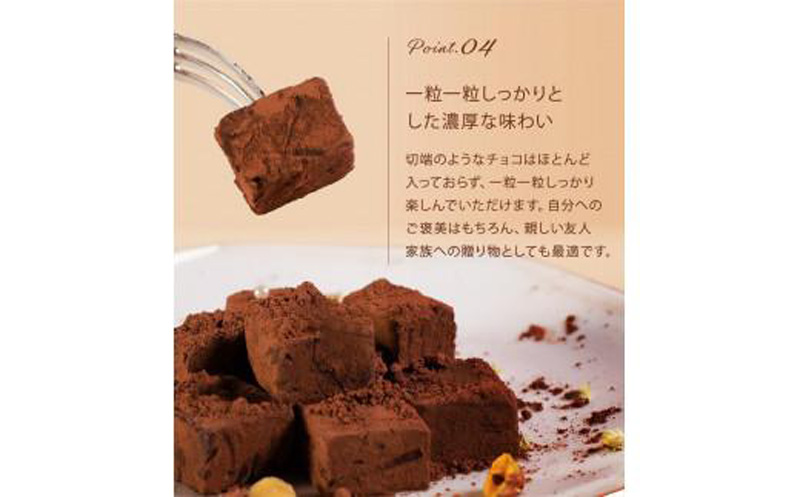 訳あり 自分チョコ 濃厚生チョコレート 約1.0kg