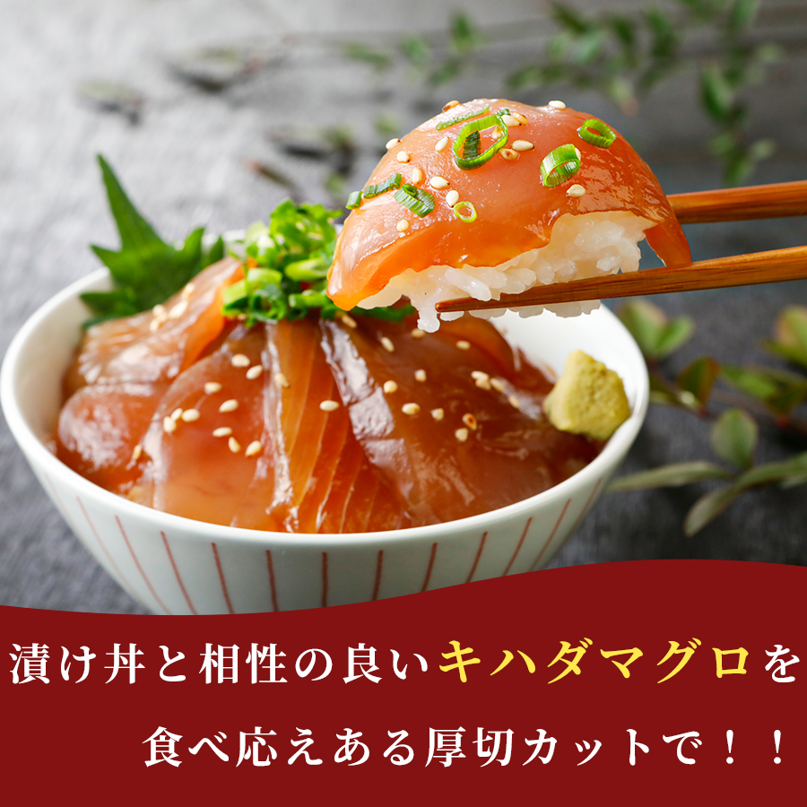 漬け丼 5種×2パック 計10食セット | 漬け丼 海鮮 惣菜 冷凍 真空パック 小分け 海鮮丼 海鮮セット 詰め合わせ 旬の鮮魚 ハマチ カンパチ カツオ 鯖 サバ ヒラマサ 平政 マグロ アジ ヒラメ 鯛 漬け づけ丼 お茶漬け ごはん 山口県 宇部市 