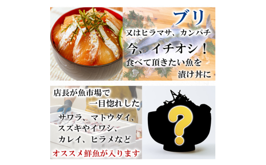 【3ヶ月 定期便】漬け丼 4種×2パック 計8食セット
