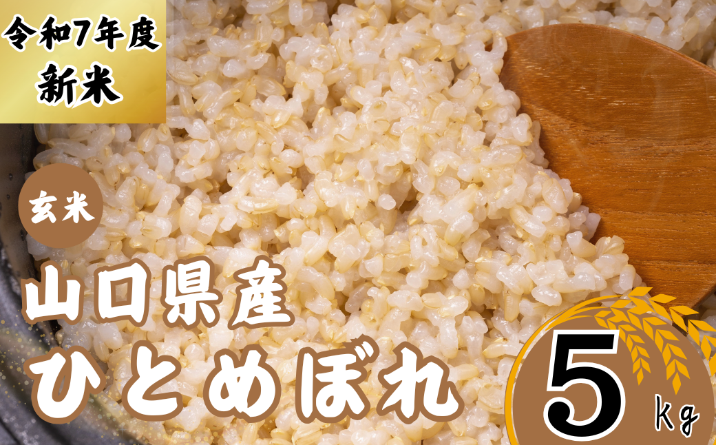 【先行予約／令和7年度新米】 ひとめぼれ 5Kg ［玄米］［山口県宇部産］ 【令和7年度 新米 ひとめぼれ 5Kg 玄米 山口県産 宇部産 地元米 農家直送 宇部市産 美味しい お米 寒暖差 霜降山麓 綺麗な水 高品質米 新鮮米 収穫直後 国産米 ご飯 炊き立て 美味しさ長持ち】