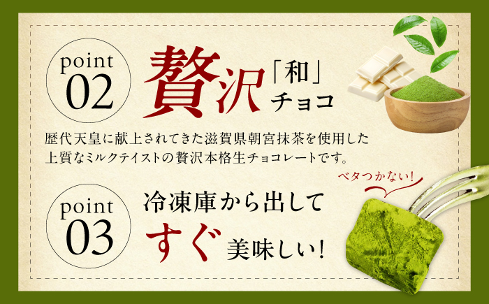 【訳あり】自分チョコ お抹茶生チョコレート 約350ｇ[BTAQ009]