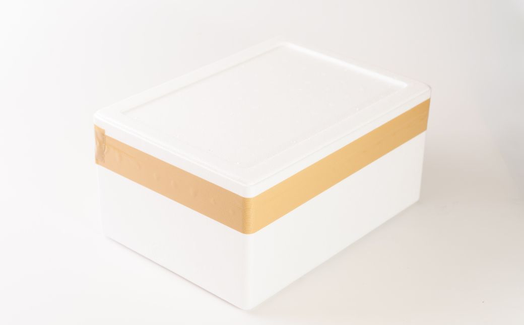 宇部産　白ミル貝　約500g　