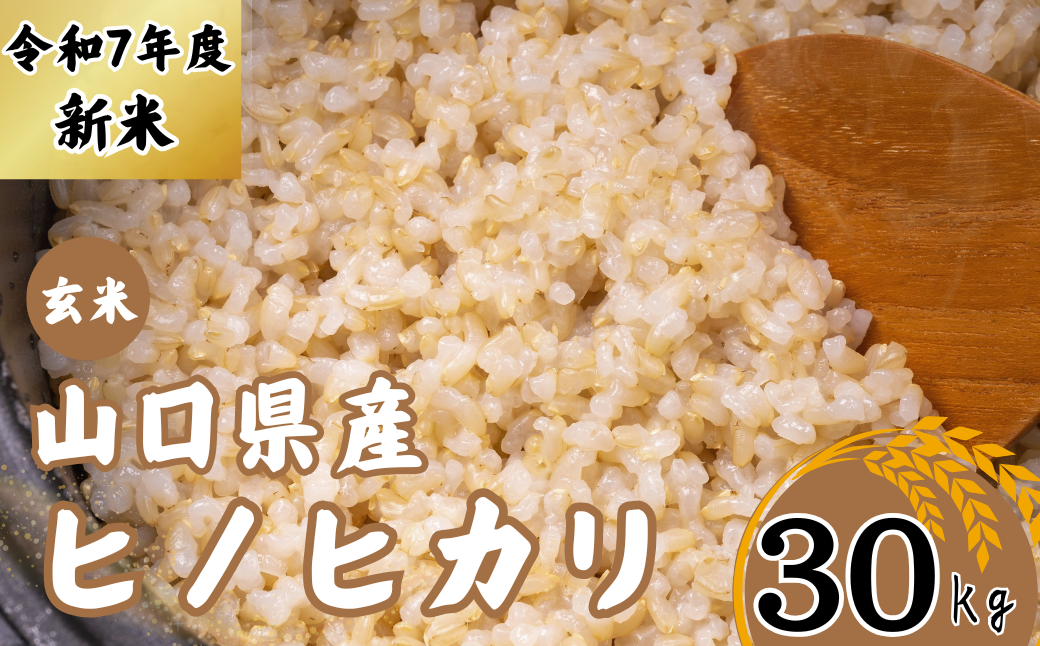 【先行予約／令和7年度新米】 ヒノヒカリ 30Kg ［玄米］［山口県宇部産］ 【令和7年度 新米 ヒノヒカリ 30Kg 玄米 山口県産 宇部産 地元米 農家直送 宇部市産 美味しい お米 寒暖差 霜降山麓 綺麗な水 高品質米 新鮮米 収穫直後 国産米 ご飯 炊き立て 美味しさ長持ち】