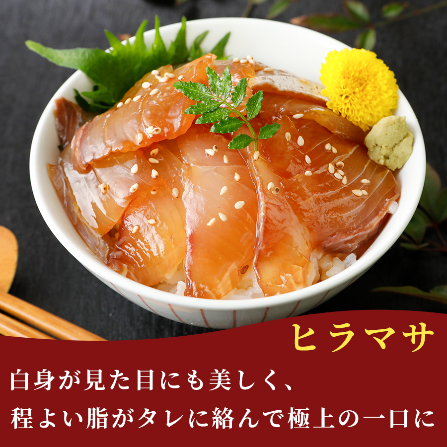漬け丼 5種×2パック 計10食セット | 漬け丼 海鮮 惣菜 冷凍 真空パック 小分け 海鮮丼 海鮮セット 詰め合わせ 旬の鮮魚 ハマチ カンパチ カツオ 鯖 サバ ヒラマサ 平政 マグロ アジ ヒラメ 鯛 漬け づけ丼 お茶漬け ごはん 山口県 宇部市 