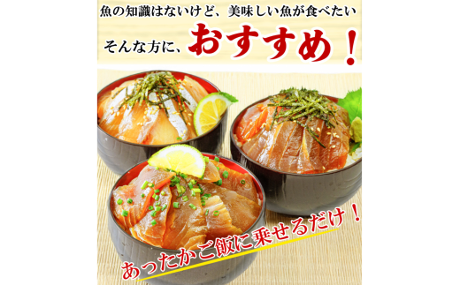 【3ヶ月 定期便】漬け丼 4種×2パック 計8食セット