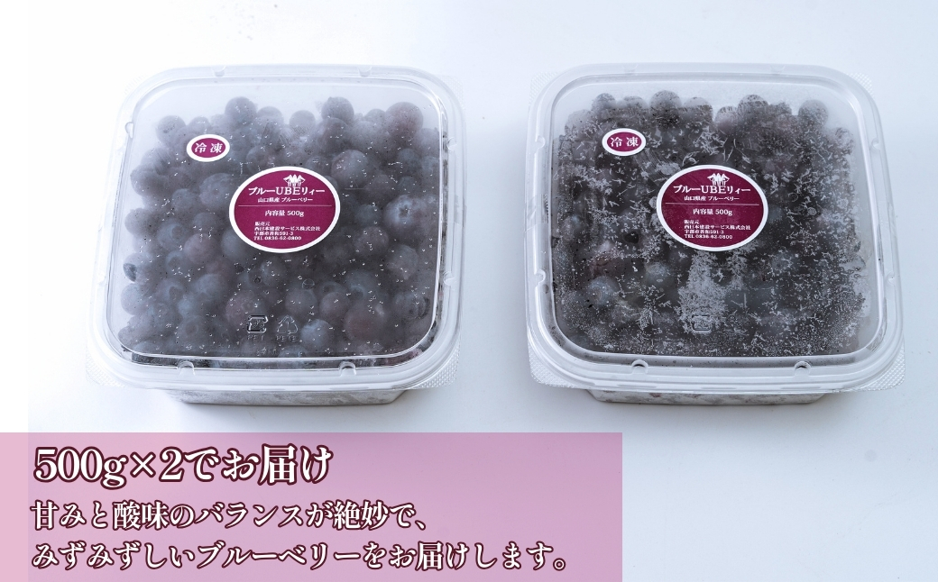 完熟 冷凍 ブルーベリー1kg（500g×2）