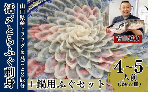 【北海道・東北・沖縄・離島配送不可／着日指定必須】2025年11月以降発送 活とらふぐ刺身 鍋用ふぐセット 4～5人前 ふぐ 刺身 ふぐ刺し フグ トラフグ