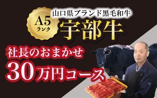【山口宇部牛】社長おまかせ＜３０万円コース＞黒毛和牛Ａ５ランク宇部牛