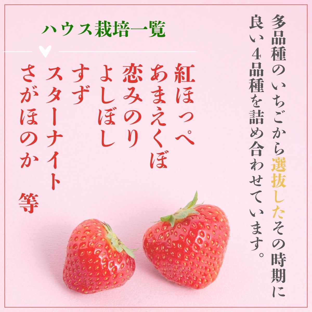 【先行予約】いちご４品種食べ比べ　300ｇ×4パック
