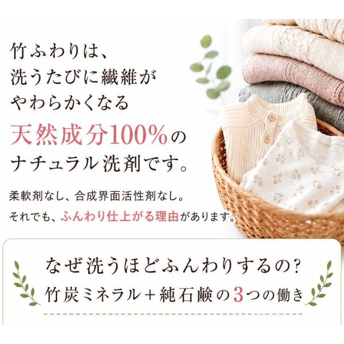 bambina 竹ふわり 竹炭ミネラル 洗濯洗剤 1000ml×２本 ポンプ付き 定期便（5カ月お届け）[BTBR019]
