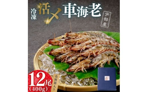 【冷凍】 海老4種食べ比べセット