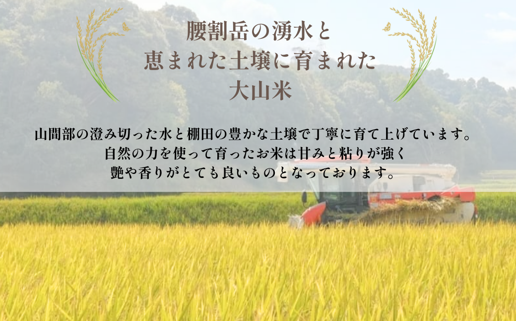 令和7年産 宇部市小野 大山産米 玄米20kg | 玄米 20kg 健康 ビタミン 豊富 食生活 ダイエット コシヒカリ 湧水 大山米 米 ご飯 おにぎり お弁当 水 令和6年産 山口県 宇部市