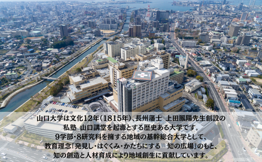 山口大学医学部附属病院への人材育成支援補助金 寄附額 5,000円 | 山口県 宇部市 山口大学 大学附属病院 病院 人材育成 支援 