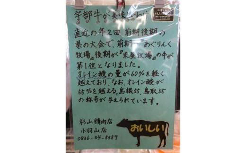 【山口宇部牛】社長おまかせプレミアム定期便【６回便】＜１００万円コース＞黒毛和牛Ａ５ランク宇部牛