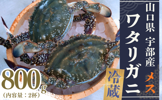 ワタリガニ 冷蔵 ワタリガニ メス 2杯 (約800g)