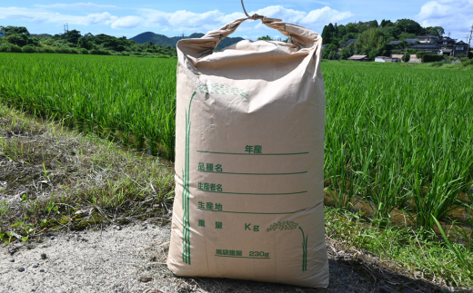 【先行予約／令和8年産新米】 ヒノヒカリ 5Kg ［玄米］［山口県宇部産］