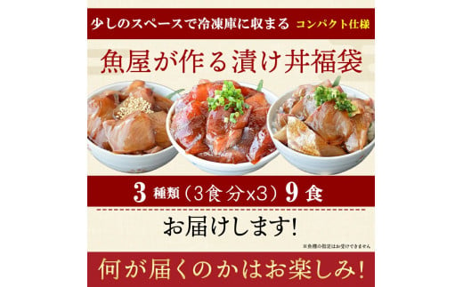 漬け丼 3種×3パック 計9食セット 冷凍 小分け