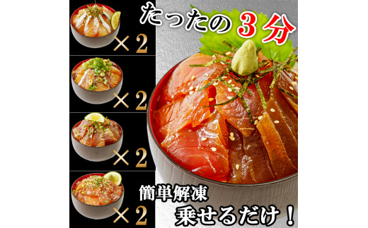 【3ヶ月 定期便】漬け丼 4種×2パック 計8食セット
