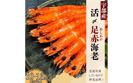 【冷凍】 海老4種食べ比べセット