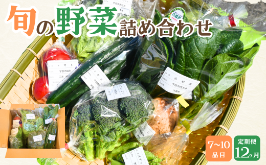 【12ヶ月定期便】新鮮野菜の産直 7～10品目 ＜楠こもれびの郷「楠四季菜市」＞