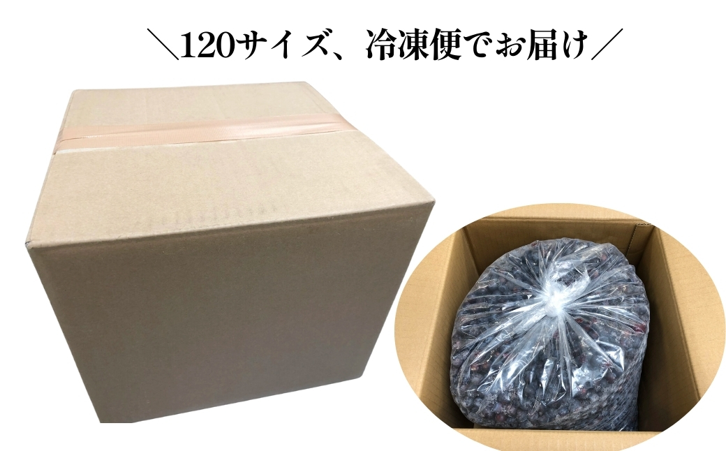 【訳あり】 山口県宇部産 お得サイズ！業務用冷凍ブルーベリー 10kg | 冷凍ブルーベリー 冷凍 果物 フルーツ 美容 スムージー 10kg 10キロ ブルーベリー 完熟 急速 新鮮 アントシアニン 目 抗酸化 肌 老化防止 血流 冷え性 脳卒中 効果 健康 栄養 甘み 酸味 バランス 食べやすい おやつ デザート フルーツ 果実 くだもの 訳あり 山口県 宇部市